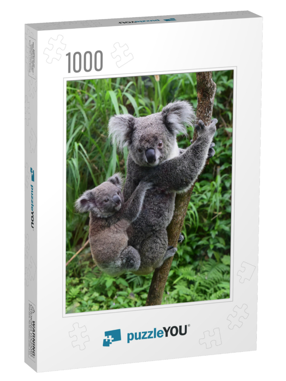 Koala Carries Baby on His Back in the Zoo of Taipei Taiwa... Jigsaw Puzzle with 1000 pieces