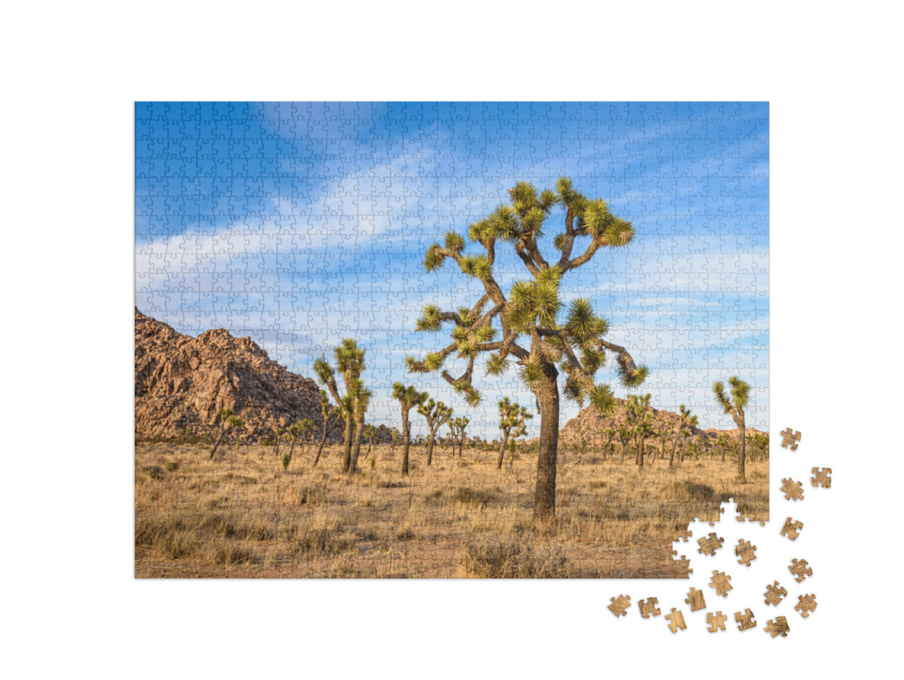 Joshua Tree National Park, Mojave Desert, California... Jigsaw Puzzle with 1000 pieces