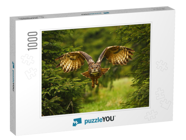 The Eurasian Eagle-Owl Flying in the Forest in the Mounta... Jigsaw Puzzle with 1000 pieces