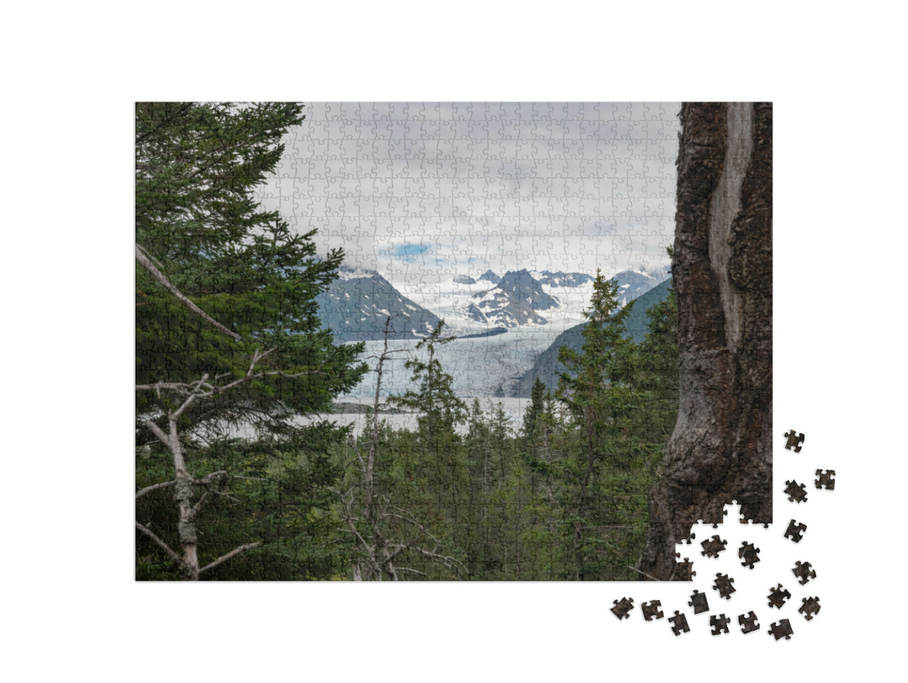 Hiking in Kenai Fjords National Park in Alaska... Jigsaw Puzzle with 1000 pieces