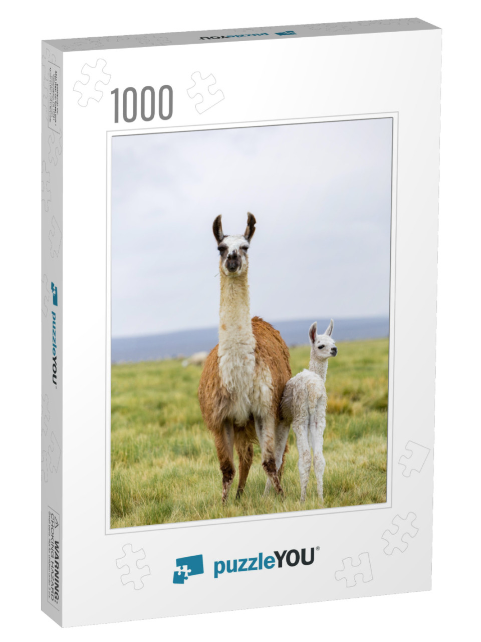 A Llama & Her Baby in the Altiplano in Bolivia... Jigsaw Puzzle with 1000 pieces