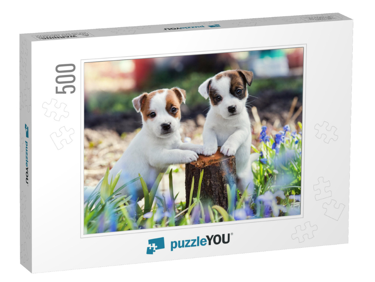 Two White Puppy Jack Russell Terrier Standing on Tree Stu... Jigsaw Puzzle with 500 pieces