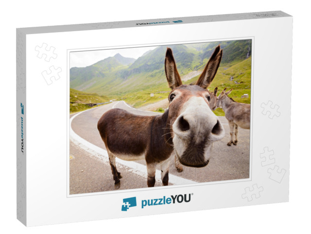 Funny Donkey on Transfagarasan Road in Romanian Mountains... Jigsaw Puzzle