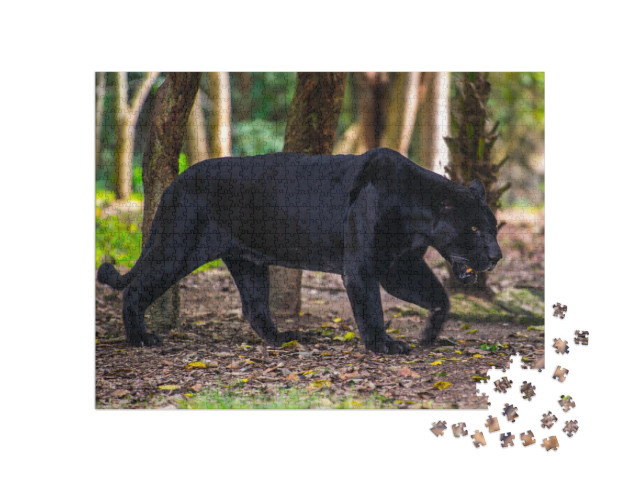 Black Panther Walks Through the Jungle... Jigsaw Puzzle with 1000 pieces