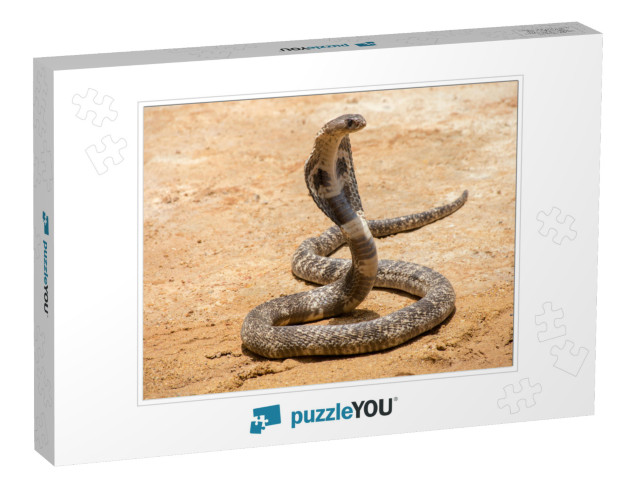 The King Cobra on Sand... Jigsaw Puzzle