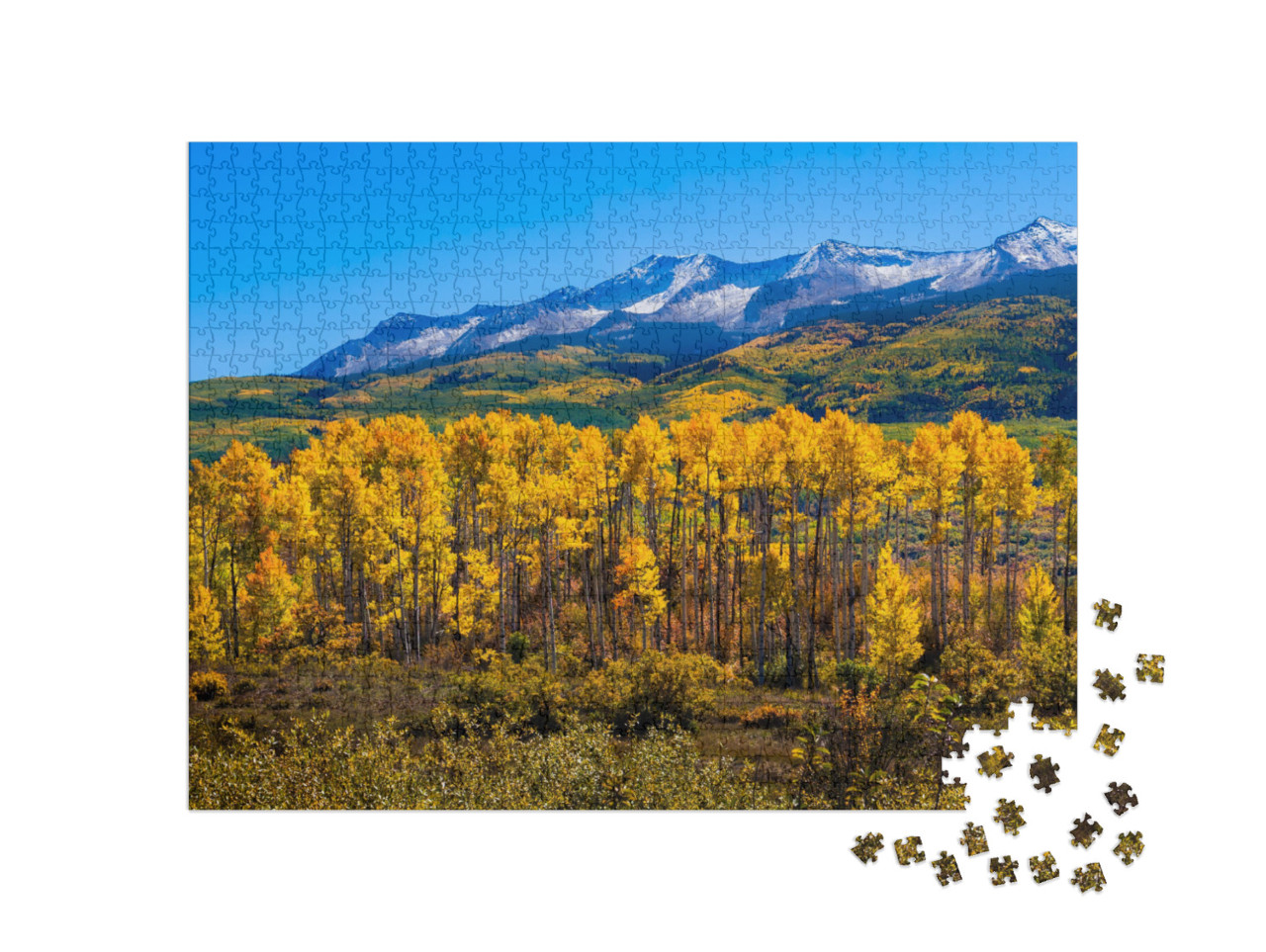 Beautiful Colorado with Aspen Trees in Autumn... Jigsaw Puzzle with 1000 pieces