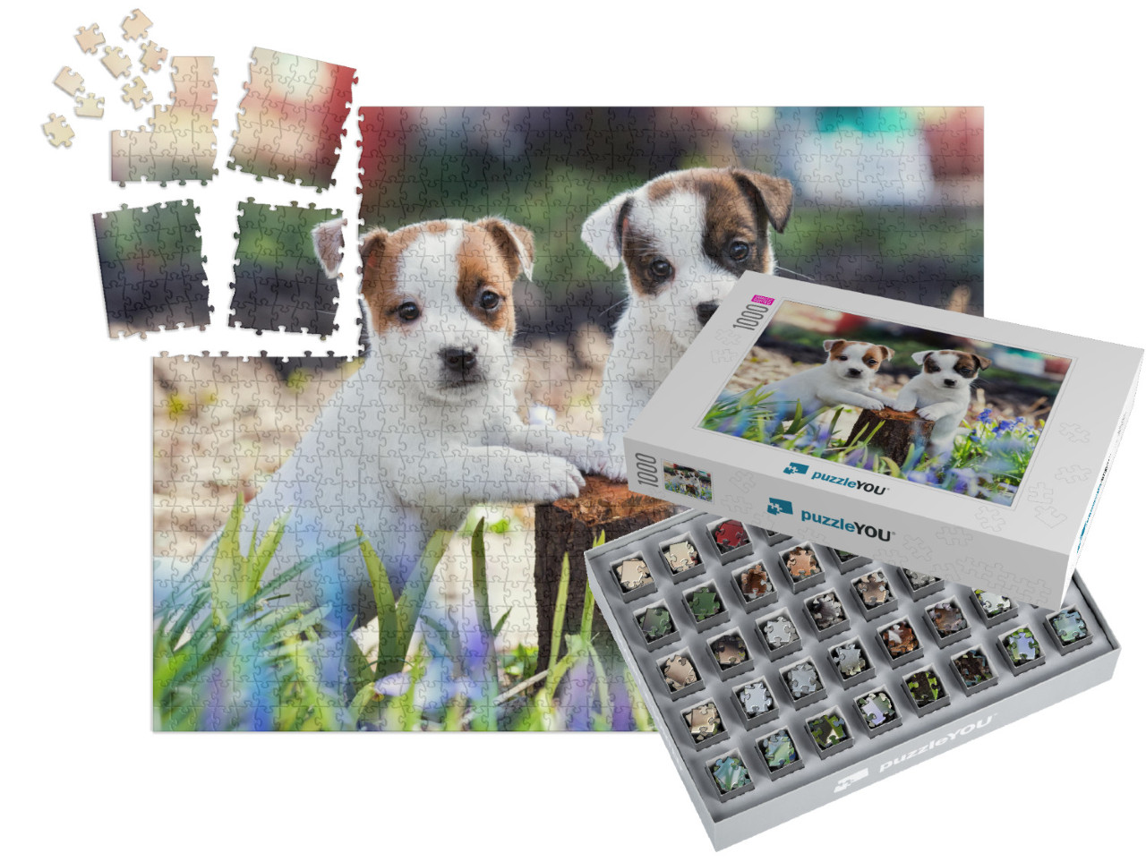 Two White Puppy Jack Russell Terrier Standing on Tree Stu... | SMART SORTED® | Jigsaw Puzzle with 1000 pieces