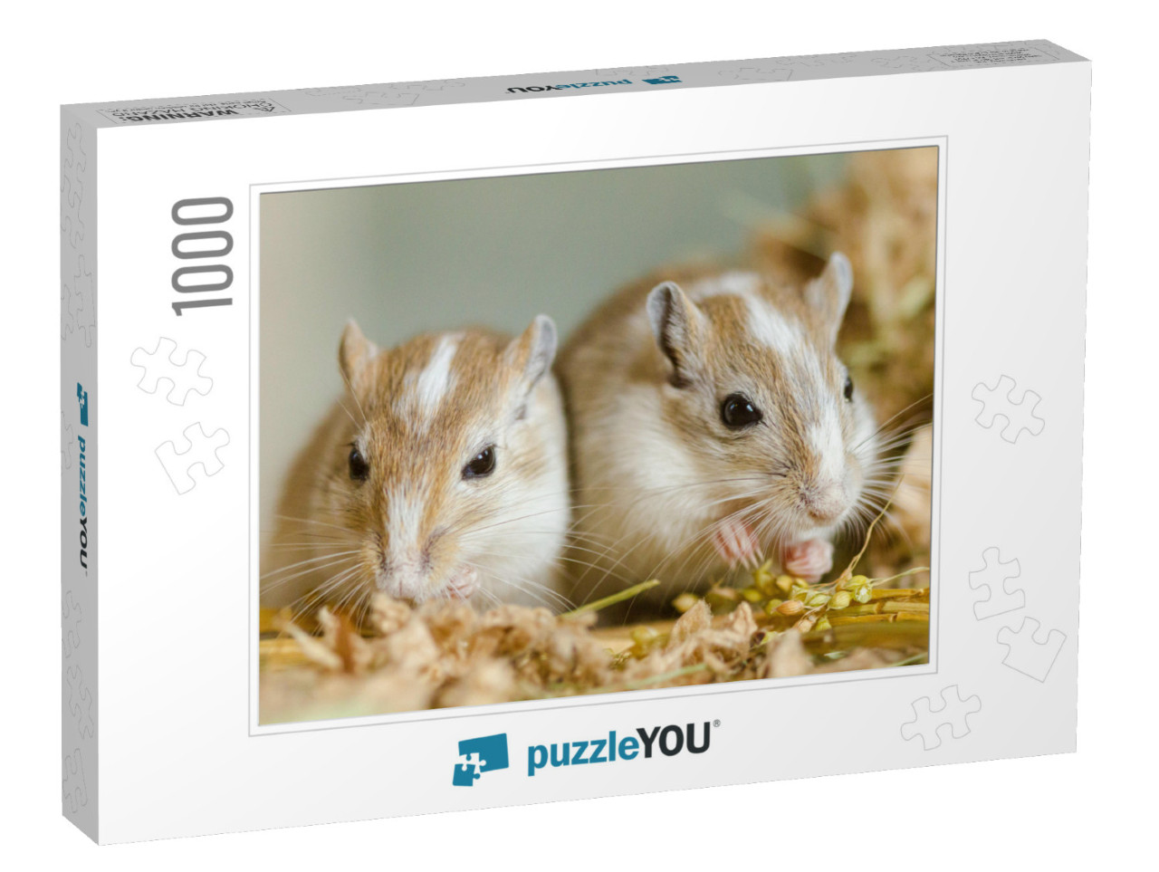 Mongolian Gerbils Meriones as Pets... Jigsaw Puzzle with 1000 pieces