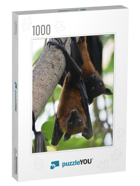 Two Bats Indian Flying Fox Hanging At a Tree in a Forest... Jigsaw Puzzle with 1000 pieces