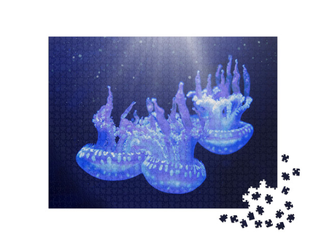 Jellyfish Underwater. Spotted Lagoon Jellyfish Mastigias... Jigsaw Puzzle with 1000 pieces