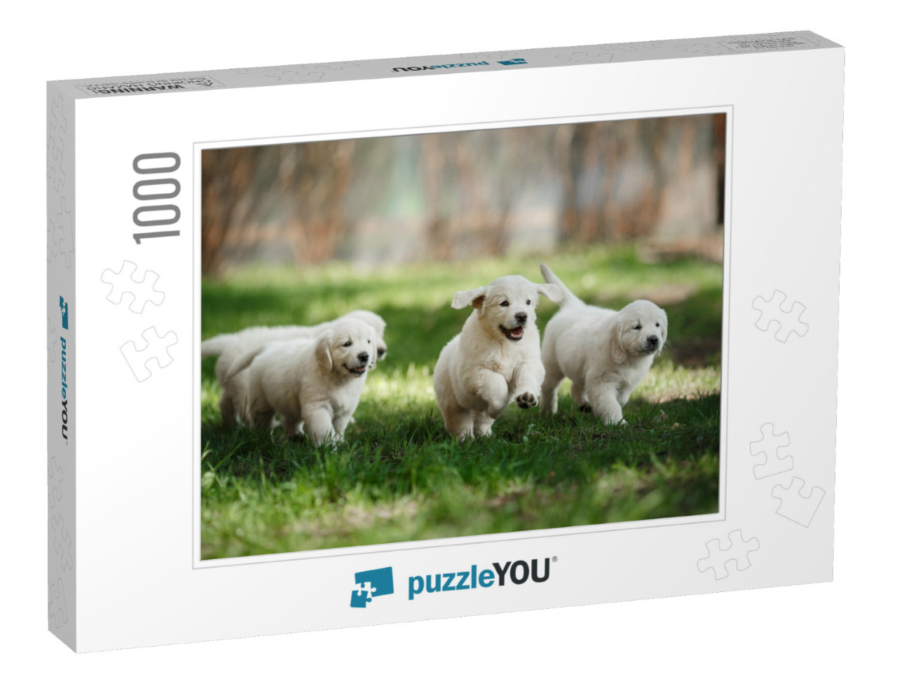 Little Puppies Golden Retriever, Running Around, Playing... Jigsaw Puzzle with 1000 pieces