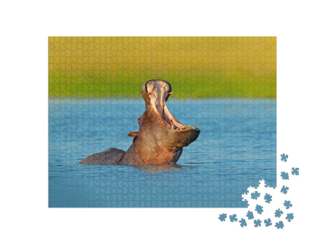 Hippo with Open Muzzle in the Water. African Hippopotamus... Jigsaw Puzzle with 1000 pieces