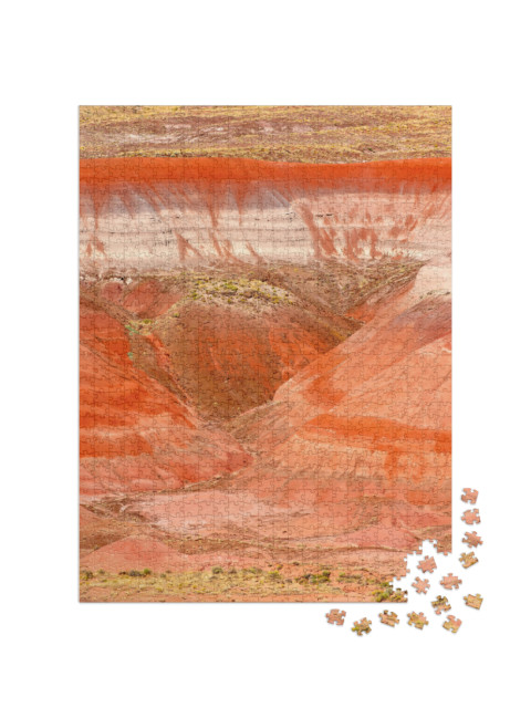 Petrified Forest National Park is in Northeastern Arizona... Jigsaw Puzzle with 1000 pieces