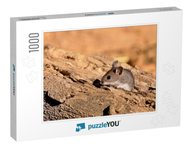 The Deer Mouse Peromyscus Maniculatus is Rodent, Common M... Jigsaw Puzzle with 1000 pieces