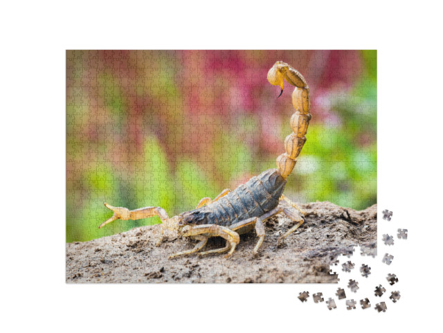 Scorpion in Attack Position... Jigsaw Puzzle with 1000 pieces