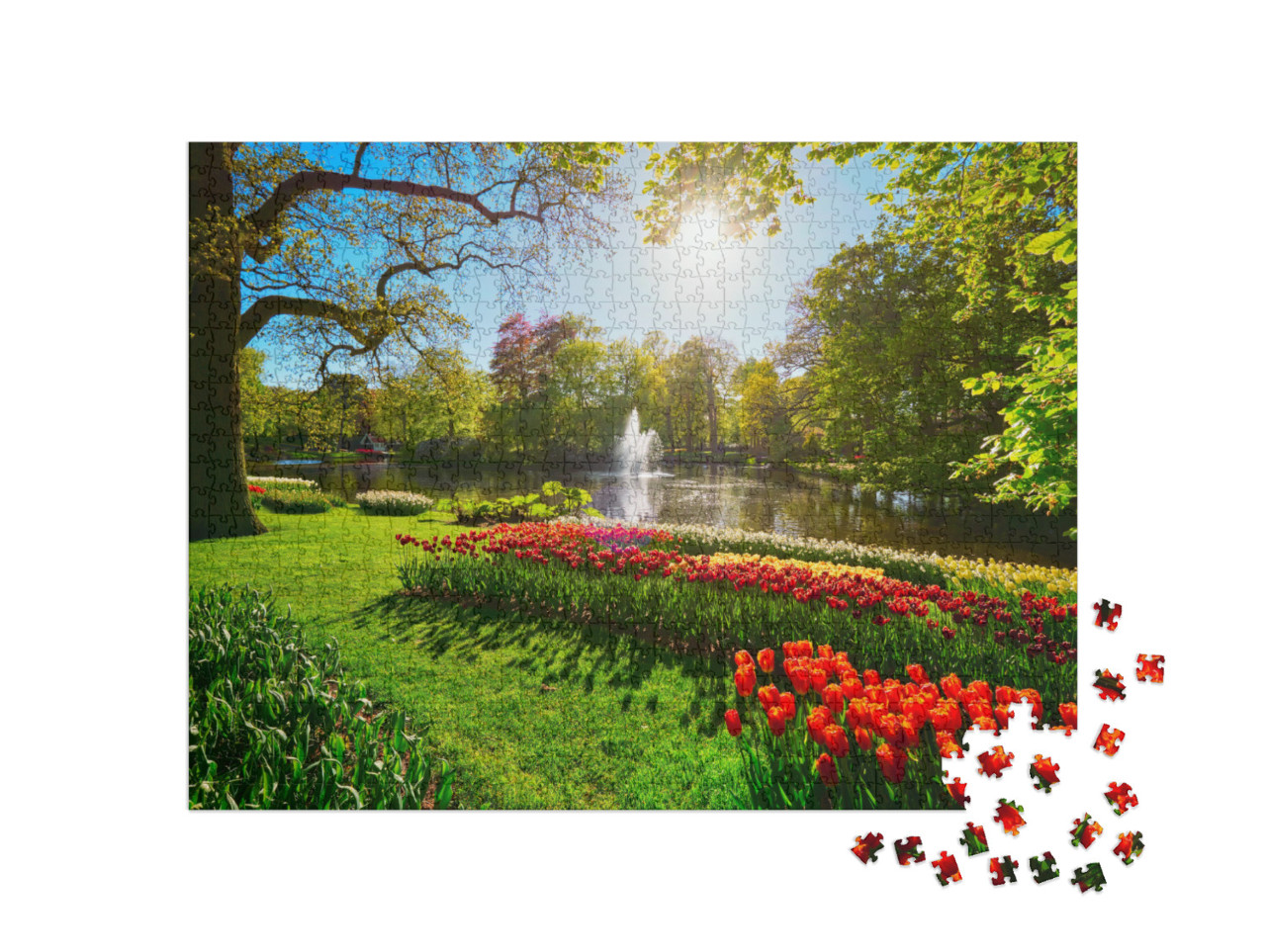 Keukenhof Flower Garden with Blooming Tulip Flowerbeds. O... Jigsaw Puzzle with 1000 pieces