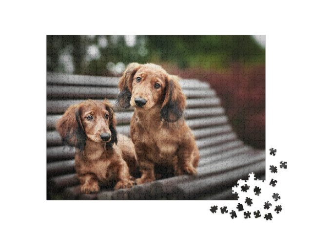 Two Adorable Dachshund Puppies Posing Together on a Bench... Jigsaw Puzzle with 1000 pieces