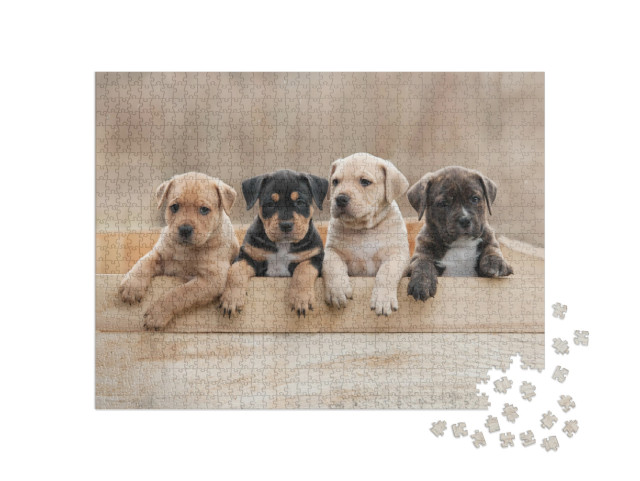 American Staffordshire Terrier Puppies Sitting in a Box... Jigsaw Puzzle with 1000 pieces