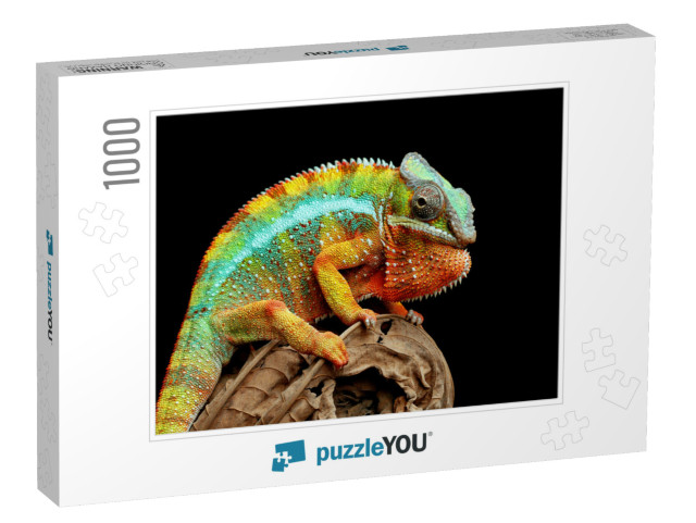 Beautiful of Chameleon Panther, Chameleon Panther on Bran... Jigsaw Puzzle with 1000 pieces