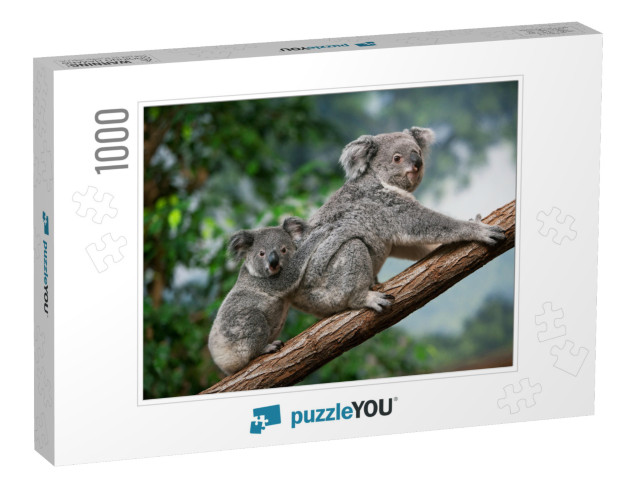 Koala, Phascolarctos Cinereus, Female Carrying Young on I... Jigsaw Puzzle with 1000 pieces