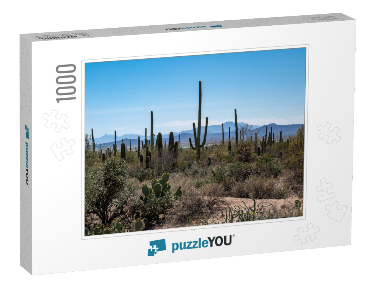 A Long Slender Saguaro Cactus in Saguaro National Park, A... Jigsaw Puzzle with 1000 pieces