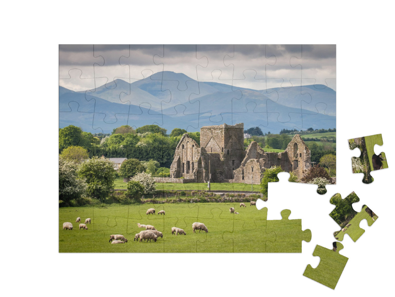 Idyllic Irish Landscape... Jigsaw Puzzle with 48 pieces