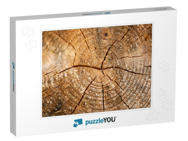 Tree Rings Old Weathered Wood Texture with the Cross Sect... Jigsaw Puzzle