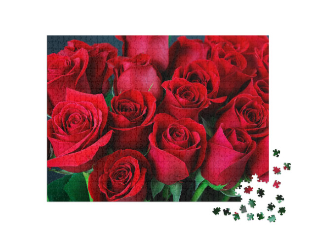 Close Up on Red Roses... Jigsaw Puzzle with 1000 pieces