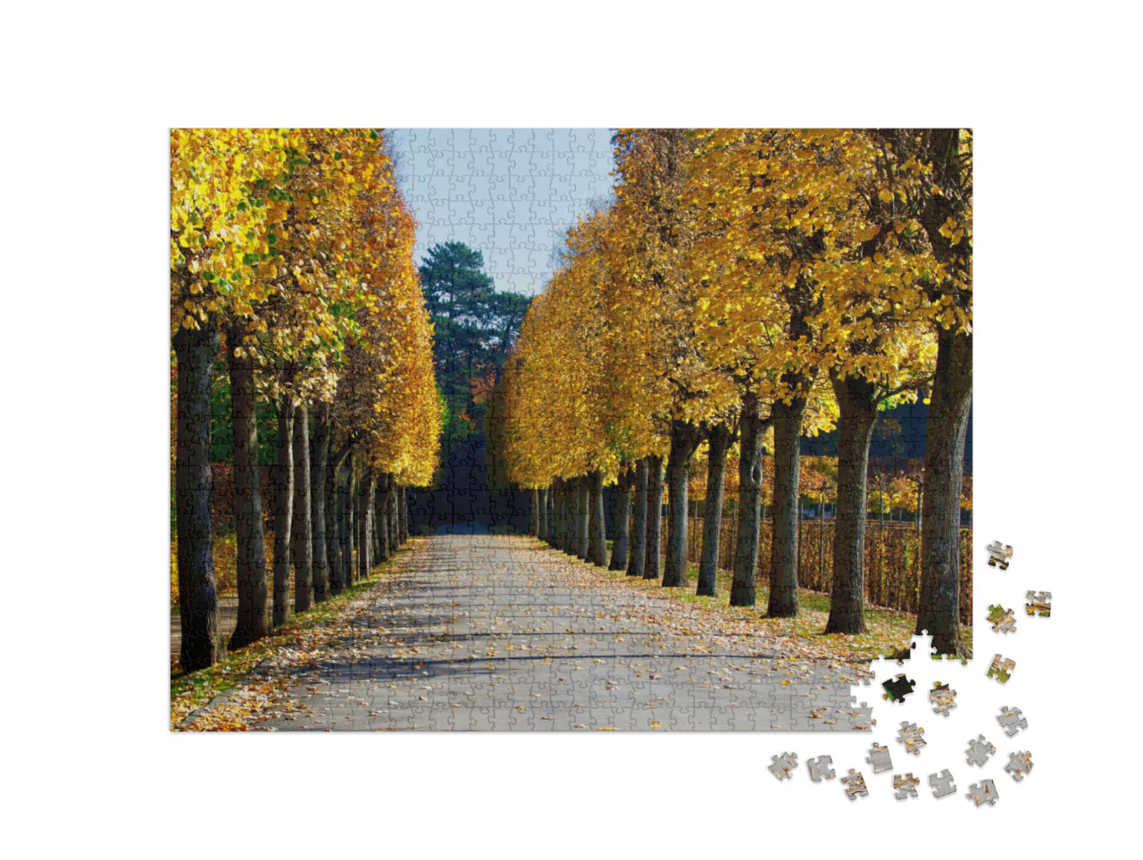 Autumn View of an Alley At Eremitage Bayreuth... Jigsaw Puzzle with 1000 pieces