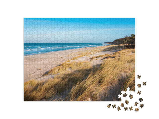 Coastal Dunes by the Baltic Sea, Darss Peninsula, Germany... Jigsaw Puzzle with 1000 pieces