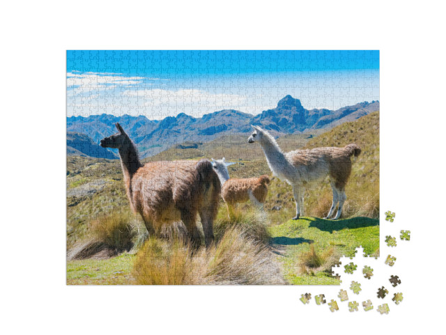 Llamas At the Cajas Park Cuenca Ecuador... Jigsaw Puzzle with 1000 pieces