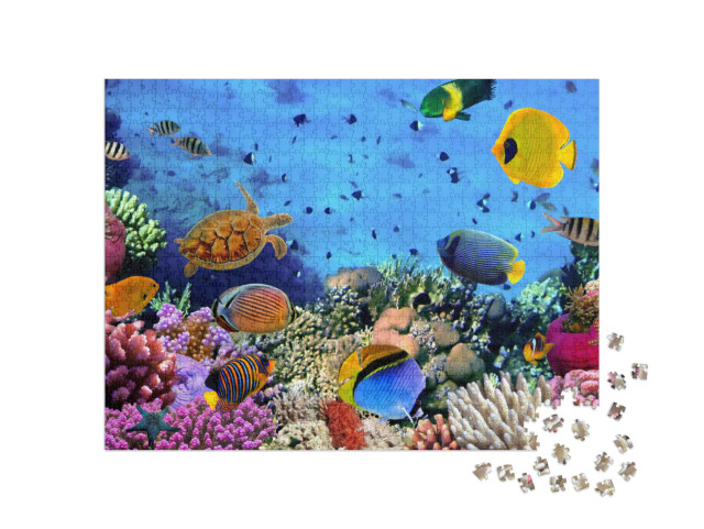 Photo of a Coral Colony, Red Sea, Egypt... Jigsaw Puzzle with 1000 pieces