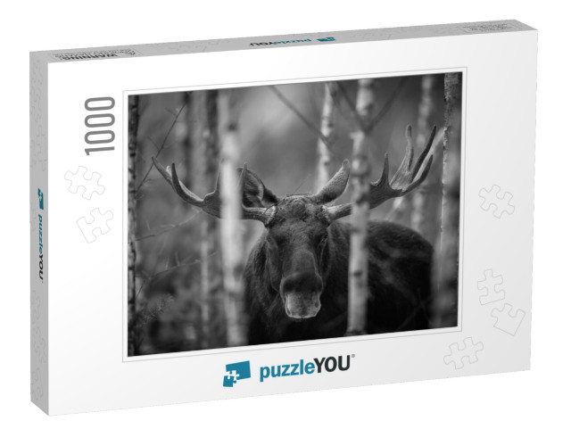 Mammal - Bull Moose Alces. Portrait of Elk, Moose. Moose... Jigsaw Puzzle with 1000 pieces