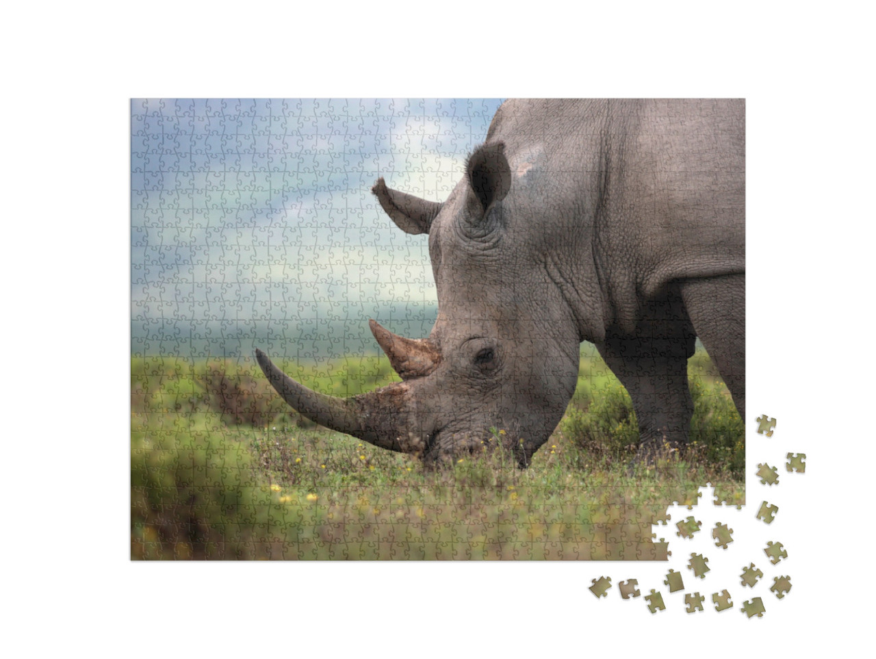 A Close Up Photo of an Endangered White Rhino / Rhinocero... Jigsaw Puzzle with 1000 pieces