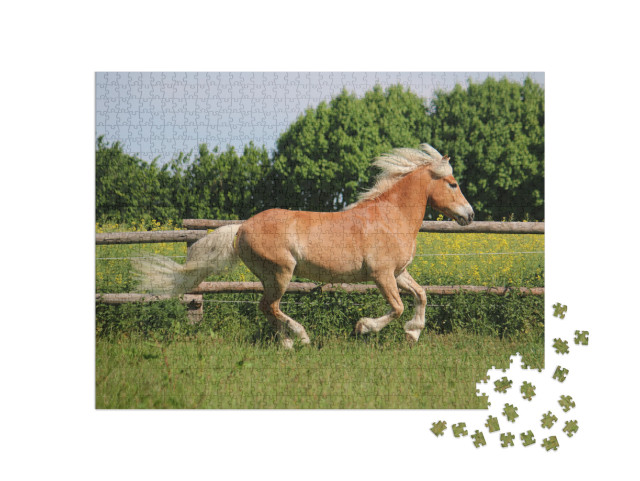 Beautiful Haflinger Horse is Running on the Paddock in th... Jigsaw Puzzle with 1000 pieces