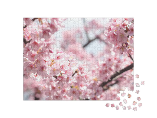 Beautiful & Cute Pink Cherry Blossoms Sakura Flowers, Wal... Jigsaw Puzzle with 1000 pieces