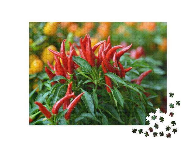 Birds Eye Chili Grow in the Garden. No People. Copy Space... Jigsaw Puzzle with 1000 pieces