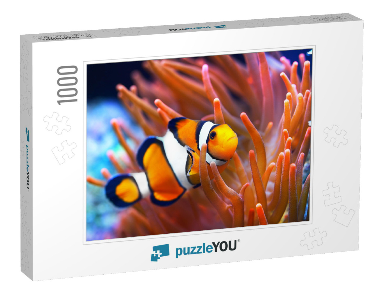 Amphiprion Ocellaris Clownfish in the Anemon. Natural Mar... Jigsaw Puzzle with 1000 pieces