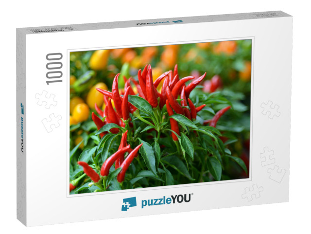 Birds Eye Chili Grow in the Garden. No People. Copy Space... Jigsaw Puzzle with 1000 pieces