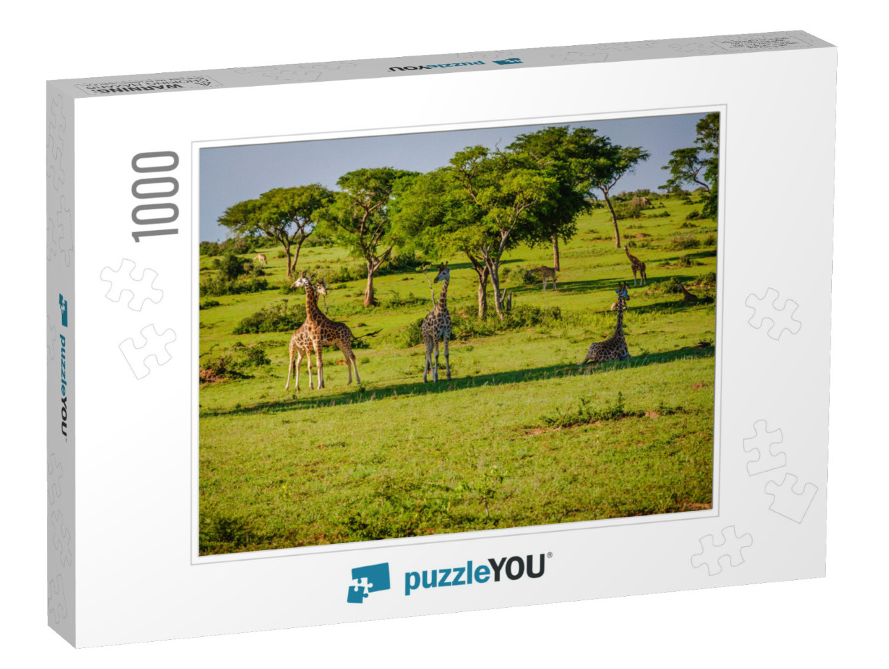 Pictorial Views of Nature & Wildlife Taken from Murchison... Jigsaw Puzzle with 1000 pieces