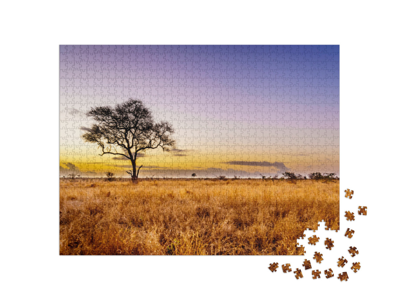 Sunrise Over the Savanna & Grass Fields in Central Kruger... Jigsaw Puzzle with 1000 pieces