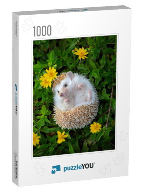 European Hedgehog Playing in the Flower Garden with Very... Jigsaw Puzzle with 1000 pieces