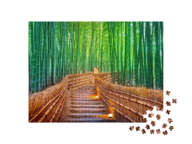 Bamboo Forest in Kyoto, Japan... Jigsaw Puzzle with 1000 pieces