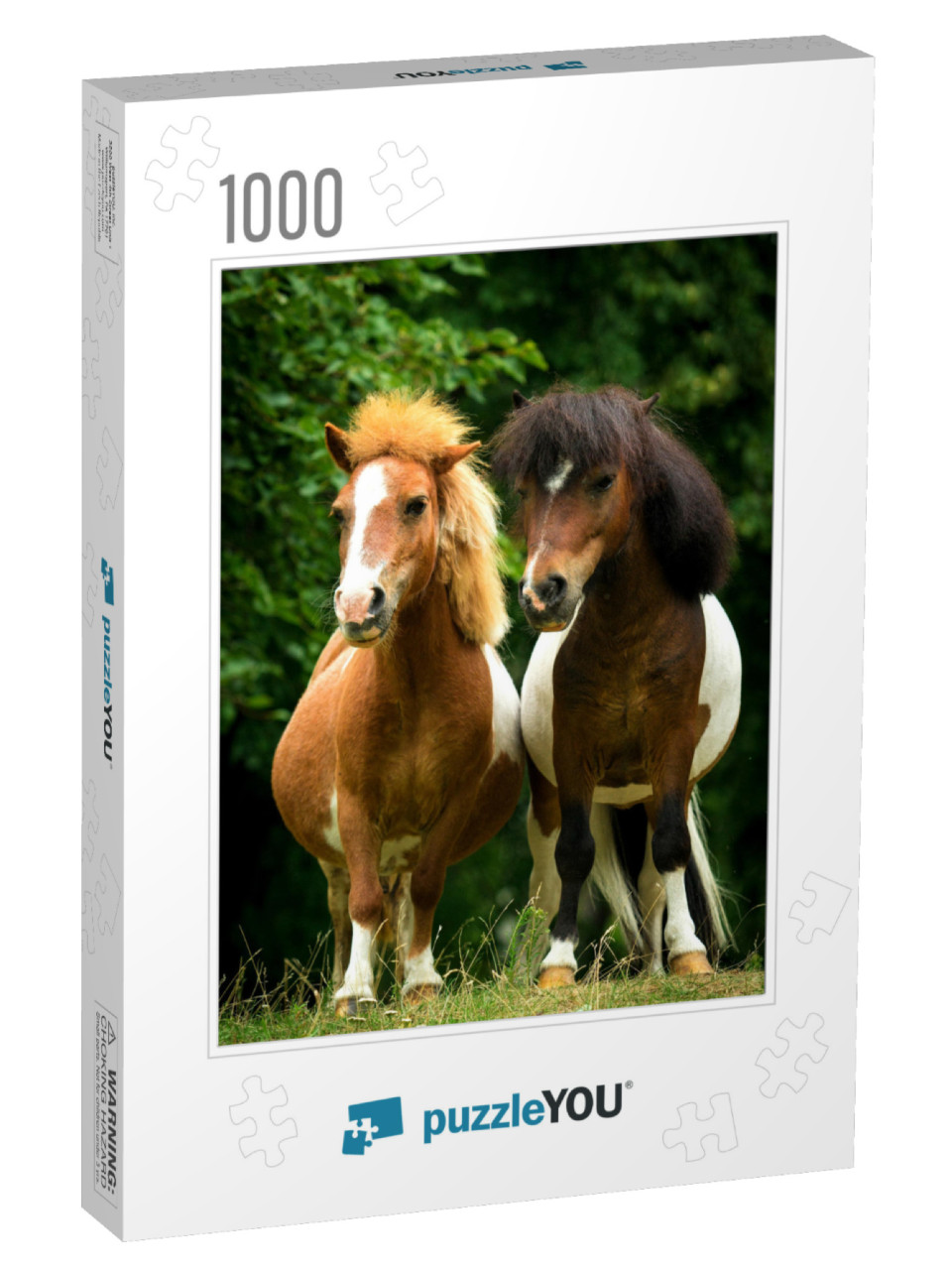 Two Little Painted Ponies Standing Close... Jigsaw Puzzle with 1000 pieces