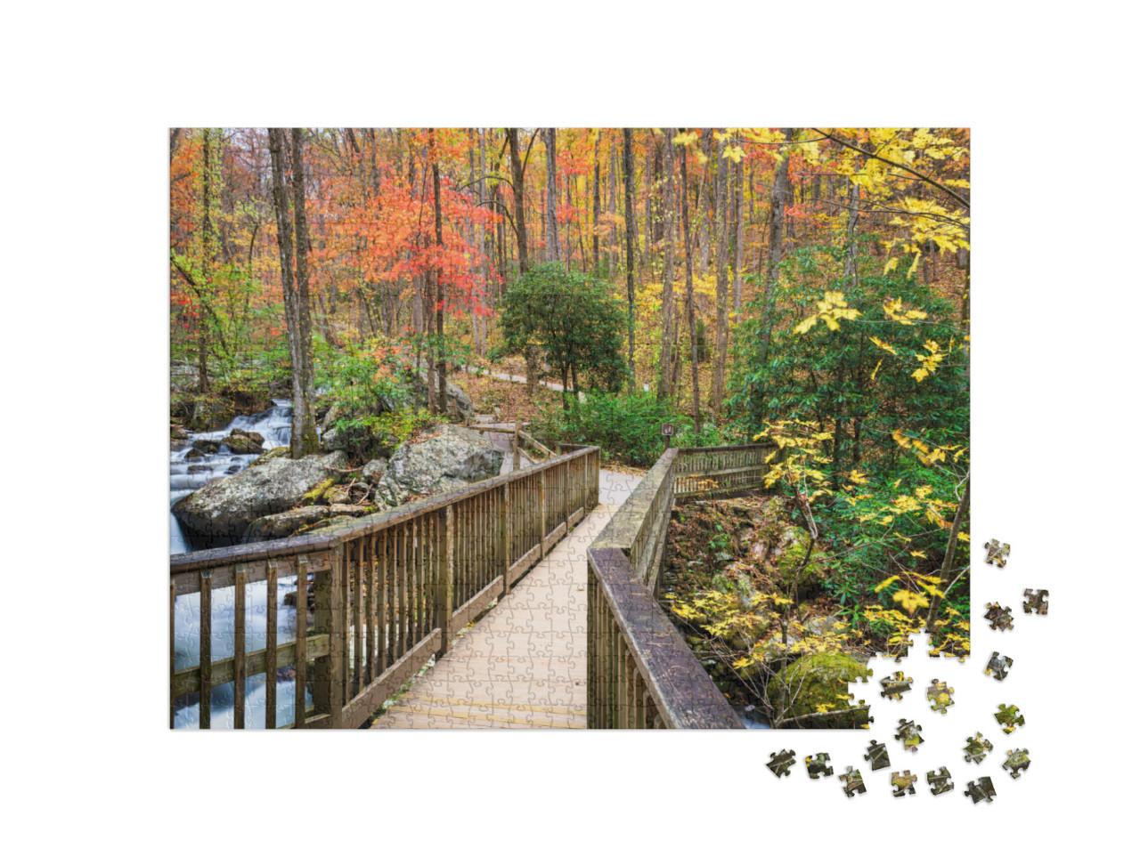 Bridge to Anna Ruby Falls, Georgia, USA in Autumn... Jigsaw Puzzle with 1000 pieces