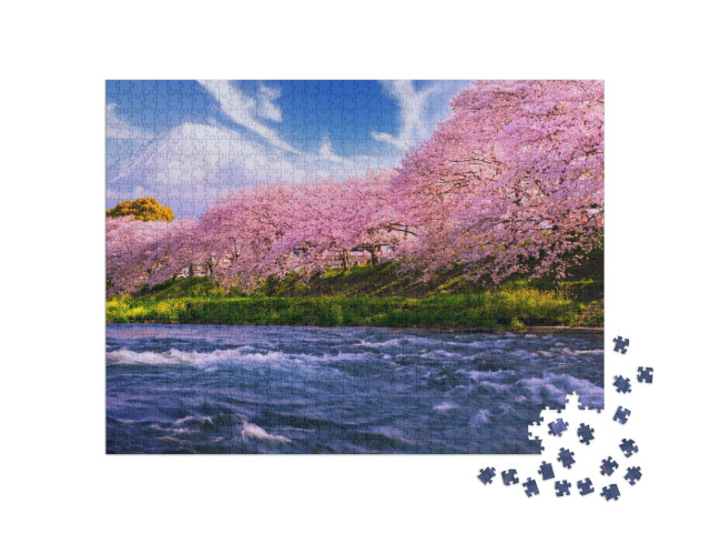 Pink Sakura Flowers, Cherry Blossoms Pink, Sakura Cherry... Jigsaw Puzzle with 1000 pieces