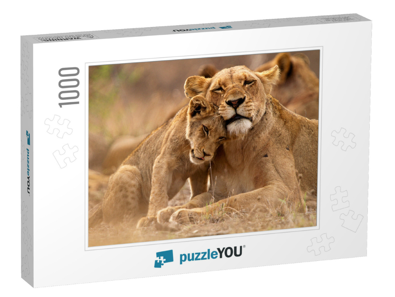 Predator's Love. Lioness & Cub in the Kruger Np, South Af... Jigsaw Puzzle with 1000 pieces