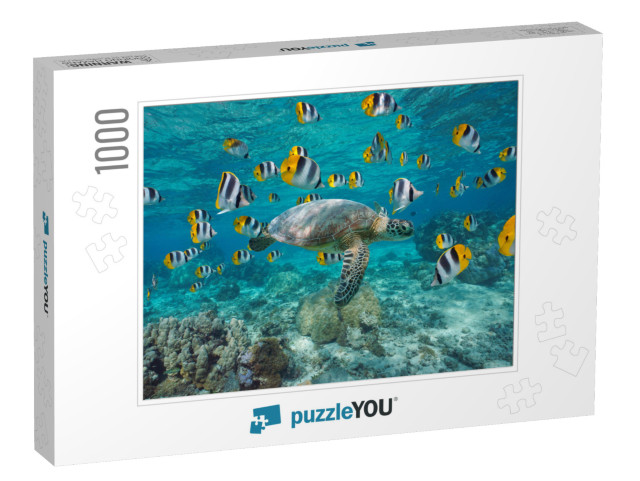 A Green Sea Turtle with a School of Tropical Fish Underwa... Jigsaw Puzzle with 1000 pieces