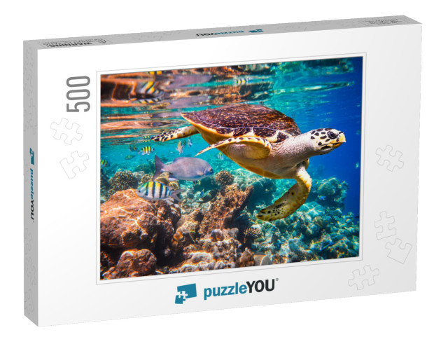 Hawksbill Turtle - Eretmochelys Imbricata Floats Under Wa... Jigsaw Puzzle with 500 pieces