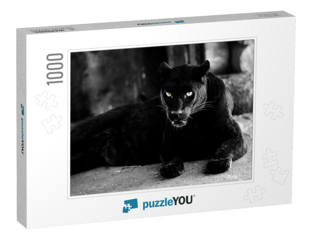 Beautiful Black Panther. Big Cat. Animal World... Jigsaw Puzzle with 1000 pieces